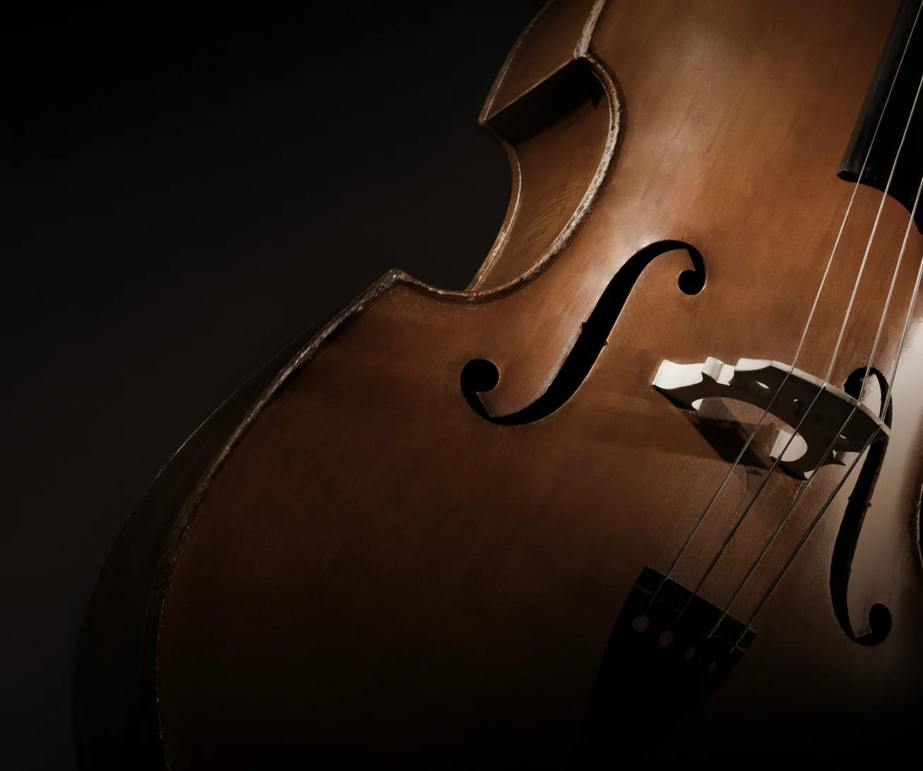 Studio Series Deep Solo Cello — 8Dio