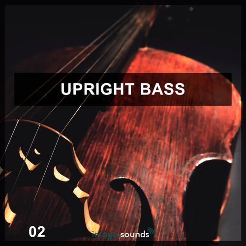Cubase/Nuendo Loop Pack: Upright Bass 2 — Steinberg