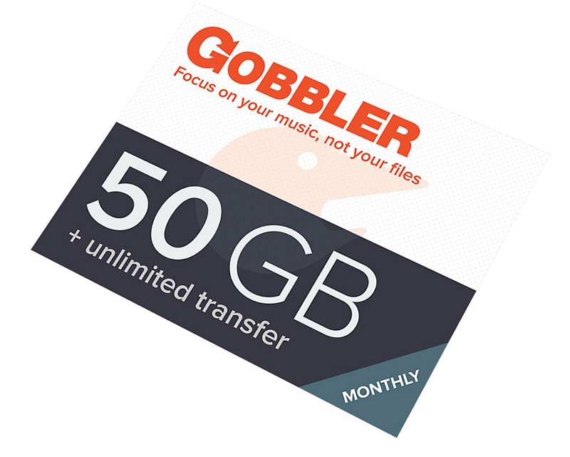 50 GB 1-Year Plan — Gobbler